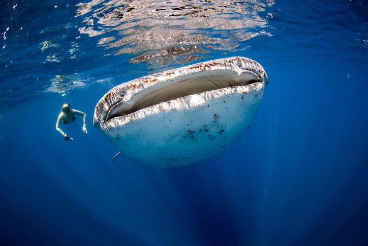Holbox Islands