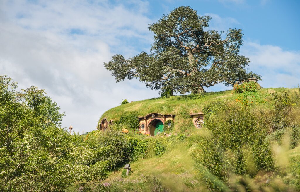 Drive from Auckland to Rotorua via Waitomo Glowworm Caves and Hobbiton