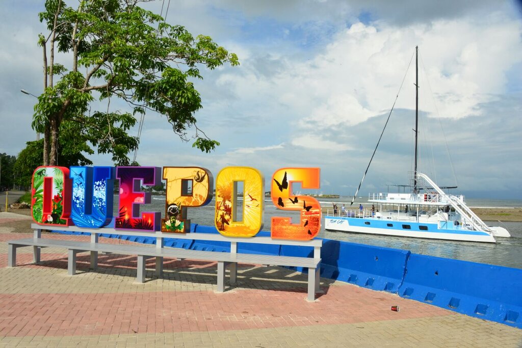 Activity380