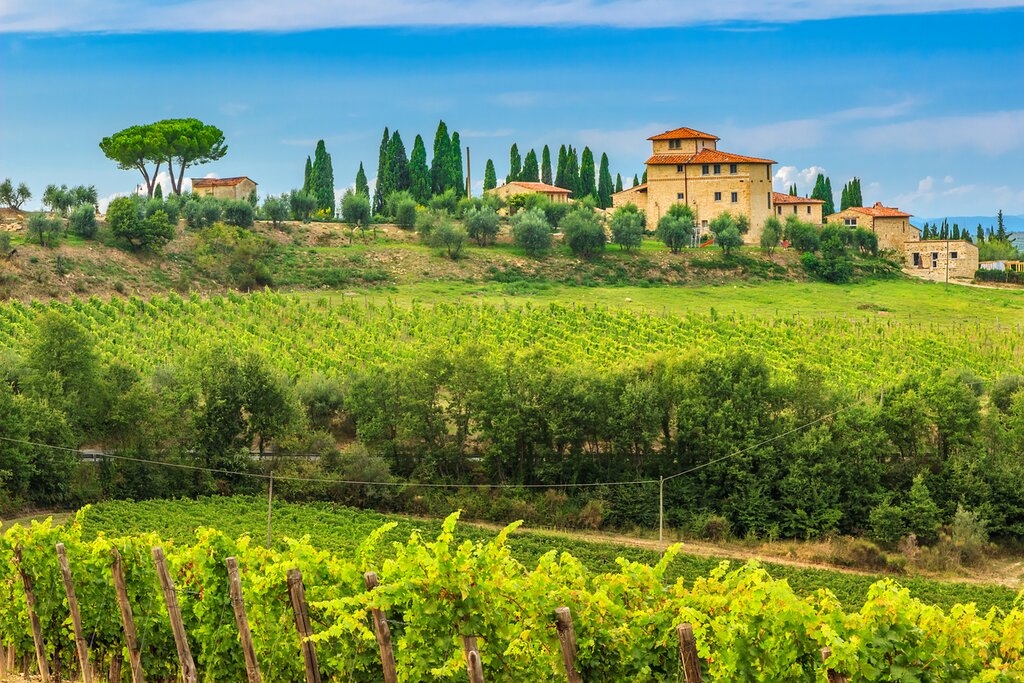 Landscape in Chianti region, near Siena