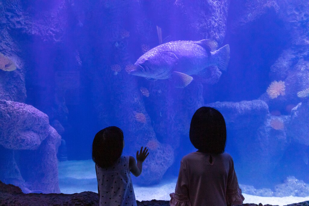 Two Oceans Aquarium