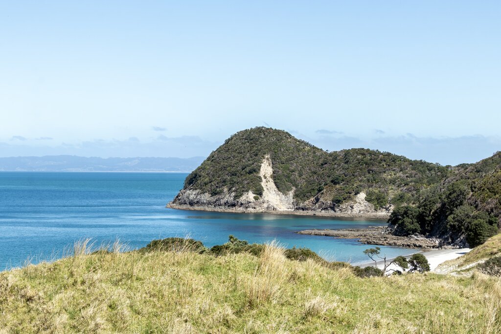 Smugglers Bay, located in the Bream Head Scenic Reserve