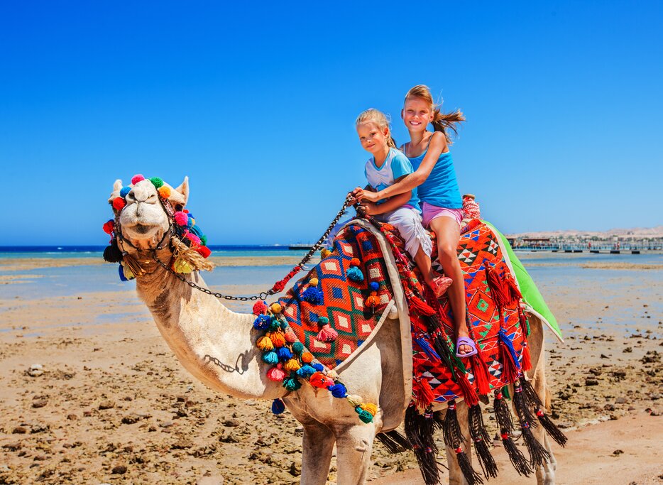 Camel Ride Adventure in the Coastal Town of Essaouira