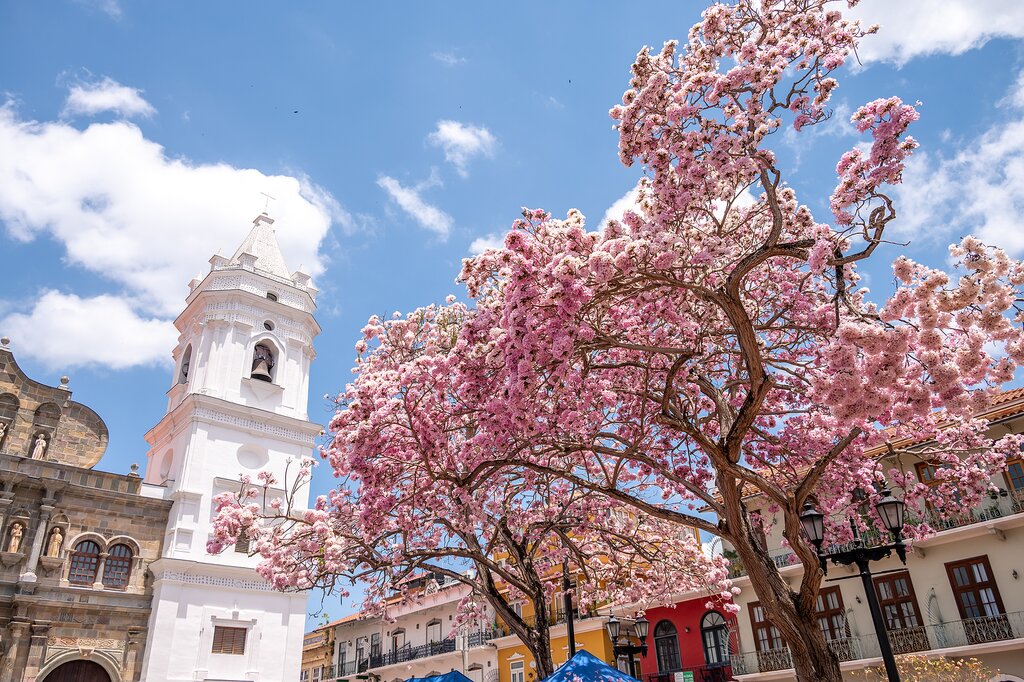 Admire colonial churches and colorful historic architecture in Panama City's historic center