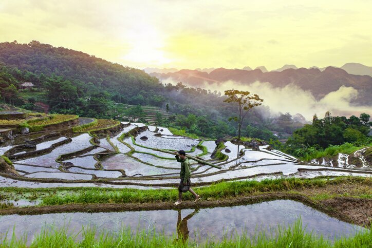 Terraced hillsides in Pu Luong
