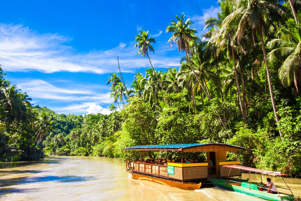 Tarsier, Chocolate Hills, and River Cruise Tour