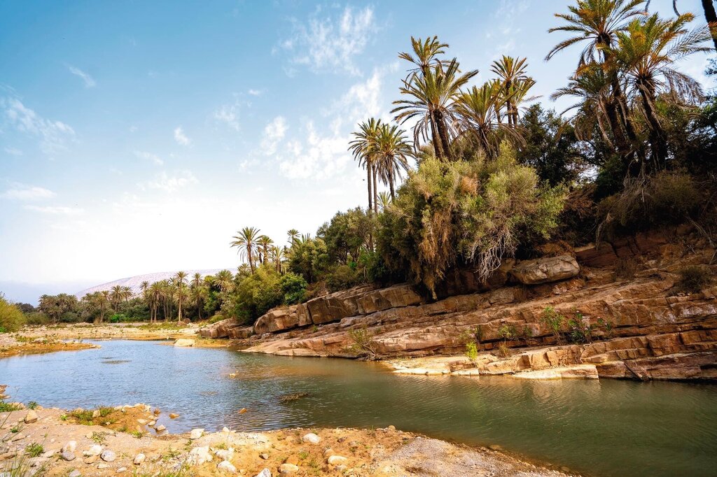 Oasis Serenade: A Blissful Encounter with Berber Culture at Tiout
