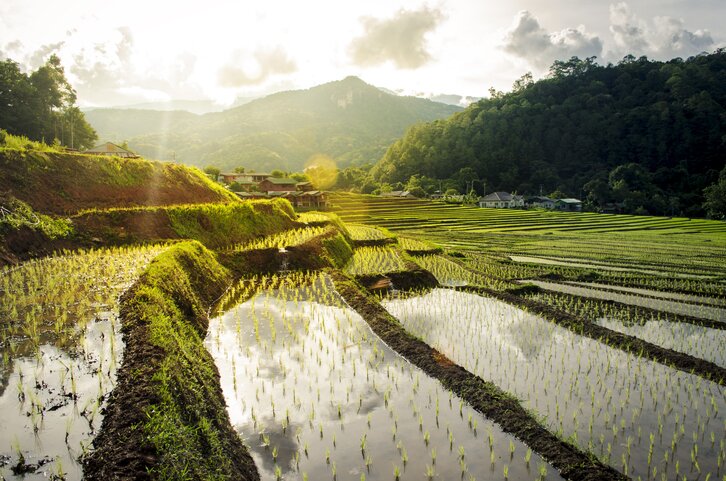 Travel From Mae Wang To Mae Klang Luang With Sightseeing