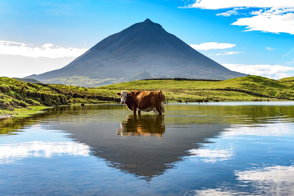 Mount Pico, the tallest mountain in Portugal