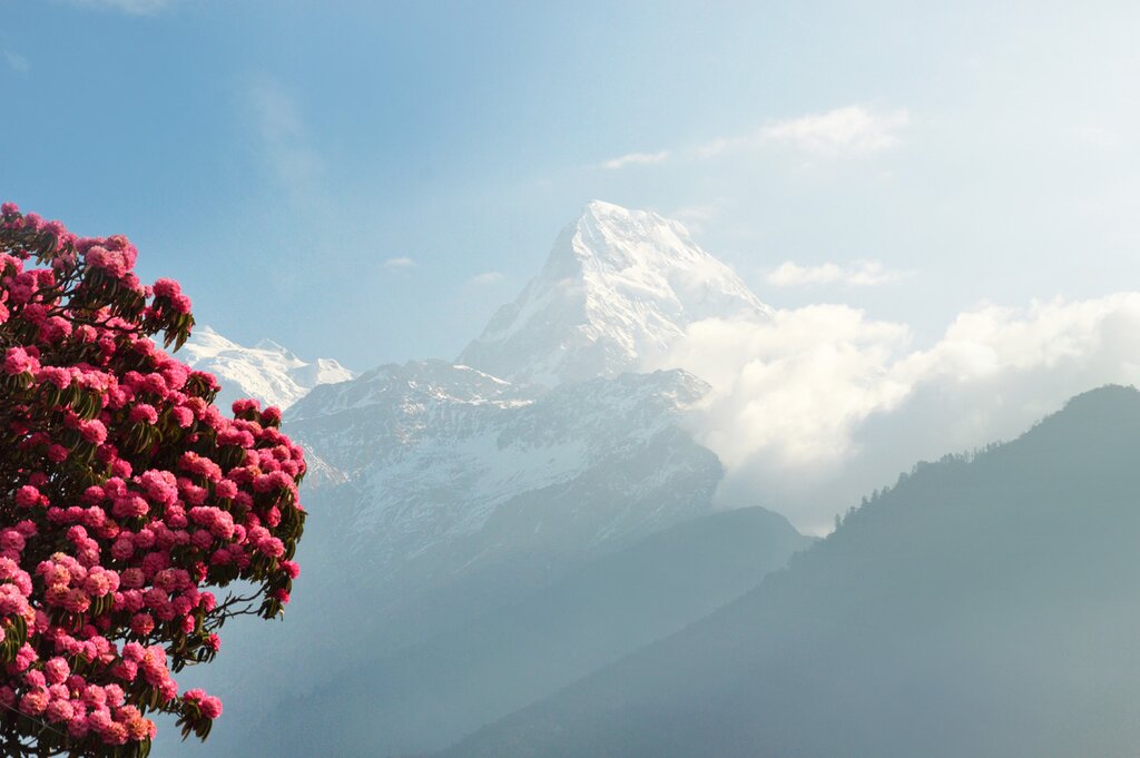 Trek from Tikhedhunga to Ghorepani (9,318 feet / 2,840 m)