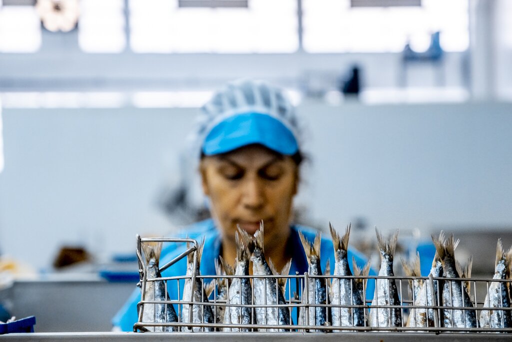 Worker at a canning factory in Porto