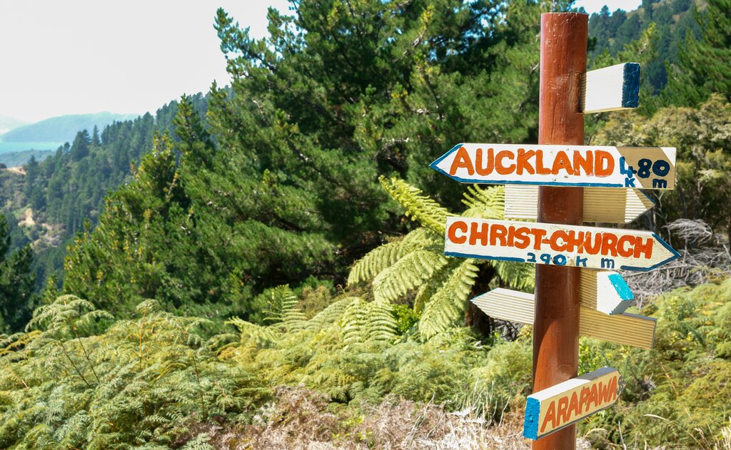 3 Day Independent Walk in Queen Charlotte Sound - Day 1