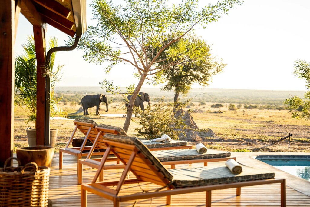 You won't have to go far to spot Big Five animals at your luxury safari lodge (photo courtesy of Walkers Plains)