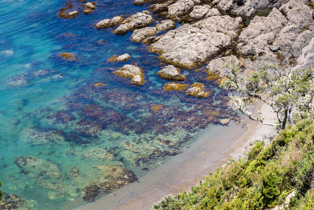 Explore the shoreline around the Bay of Islands