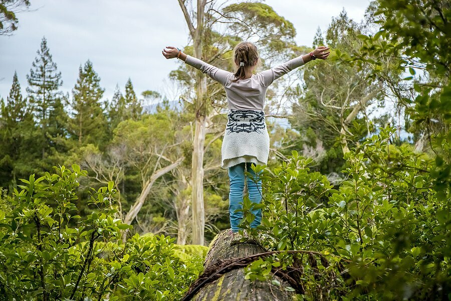 Explore the treetops of Rotorua