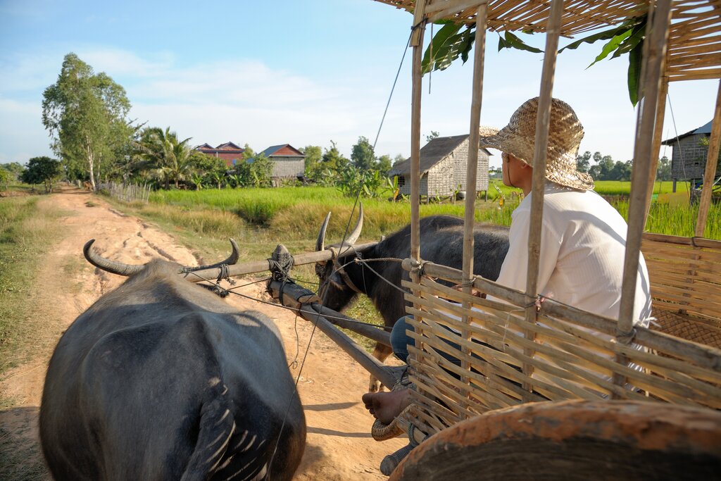 Day trip to local village Chansar