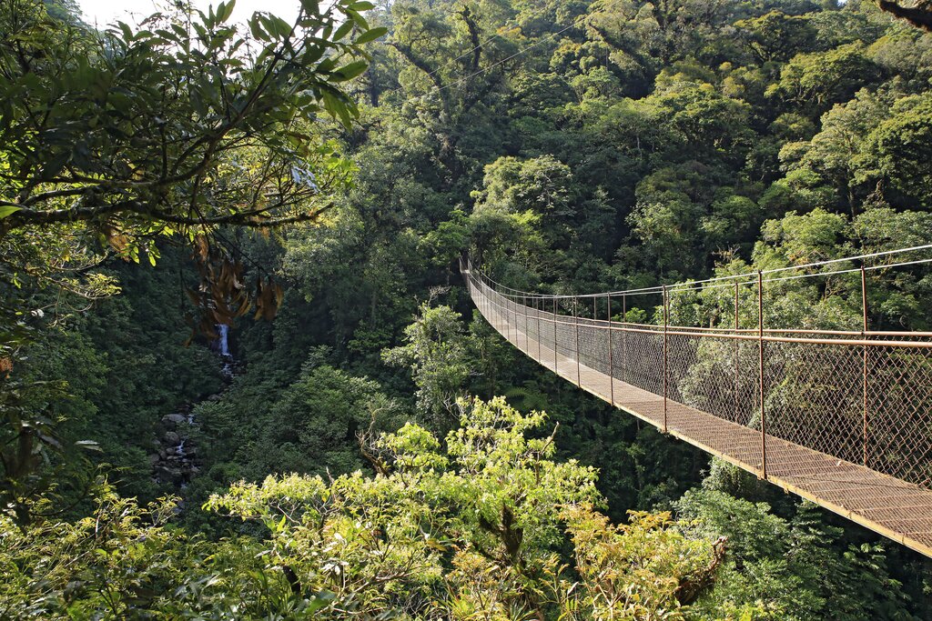 Boquete - Cloud Forest Hike: The Waterfalls Trail or Boquete - Cangilones Mini-Canyon