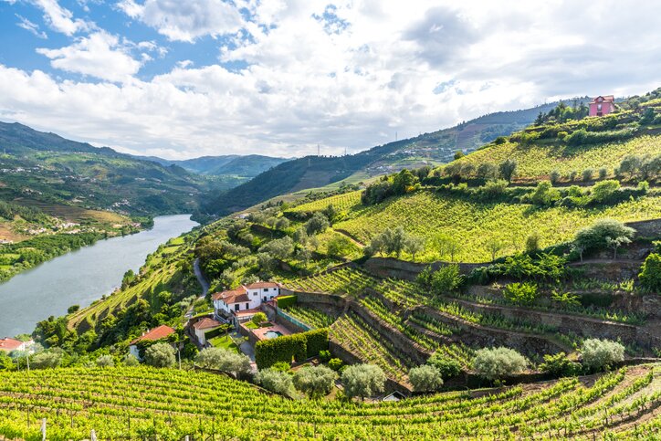 The Douro River snaking through the valley