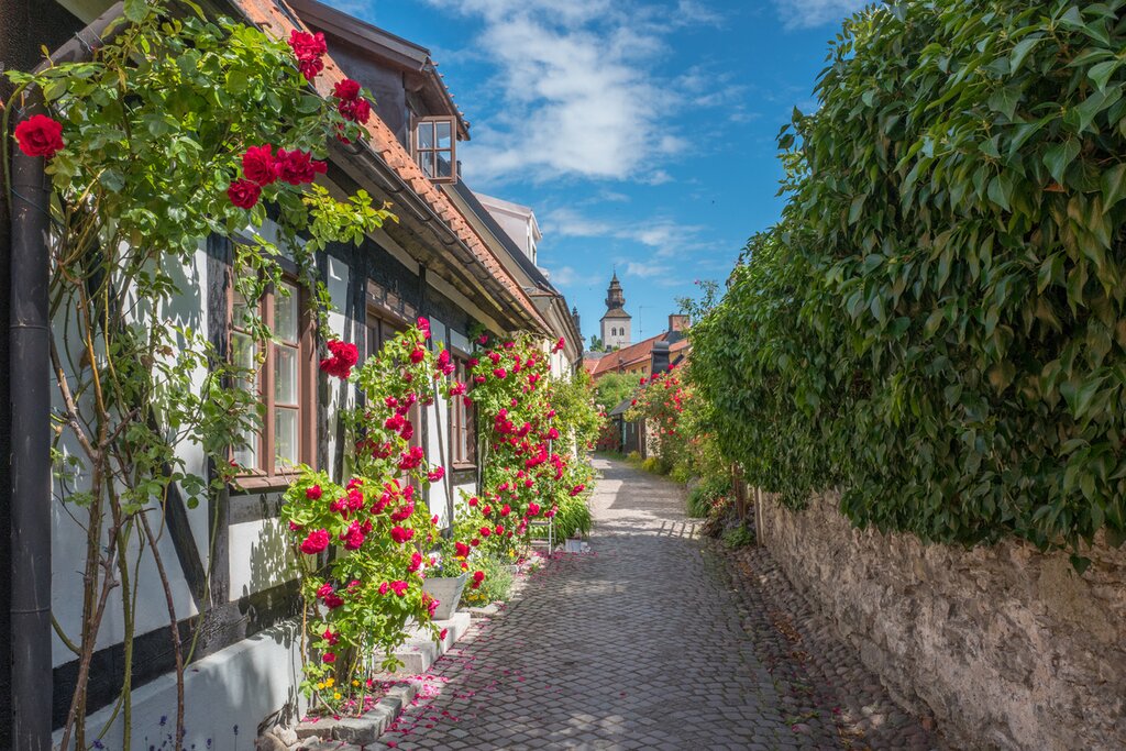 Welcome to Visby