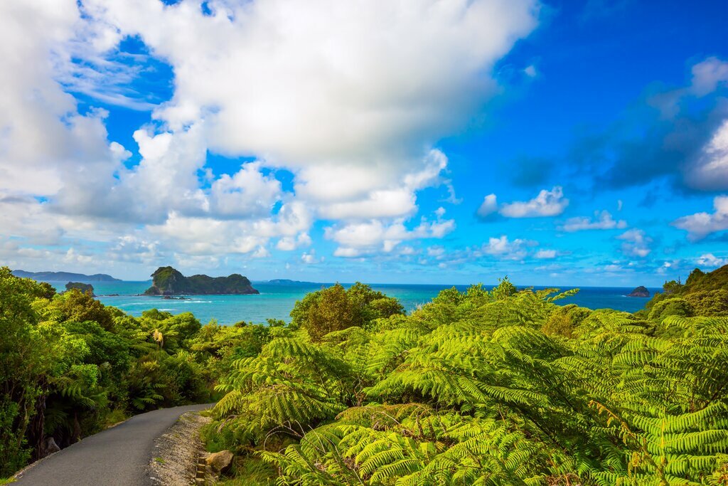 Kick off your scenic New Zealand road trip with a drive along the Coromandel Peninsula