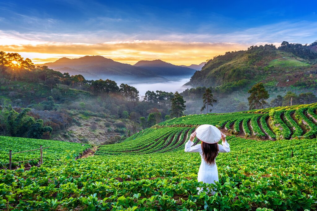Free Day in Chiang Mai