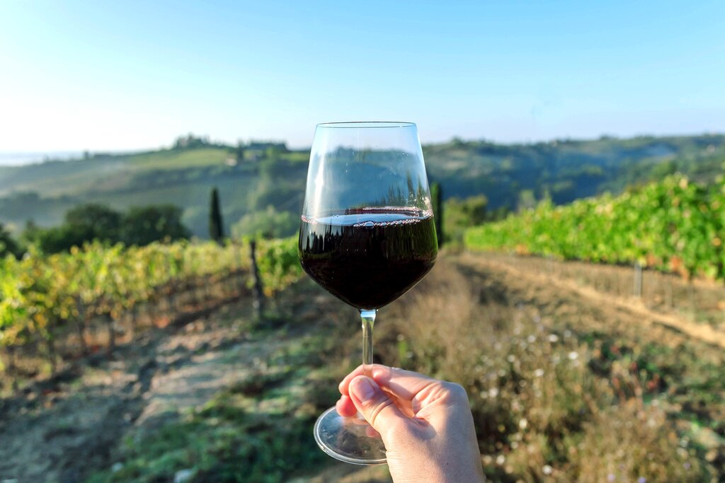 Wine portugal