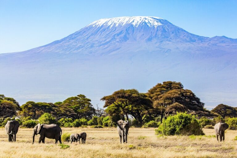 Hiking Kilimanjaro - 10 Days