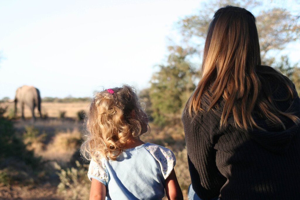 See Big Five wildlife from kid-friendly lodges on South Africa's Eastern Cape