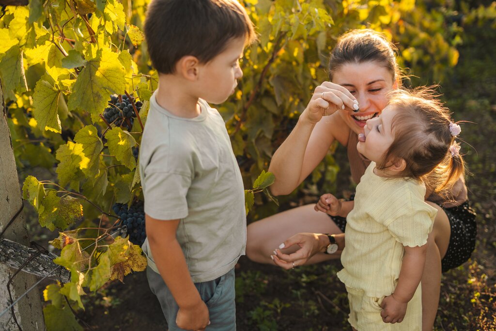 Family Day Out in the Winelands