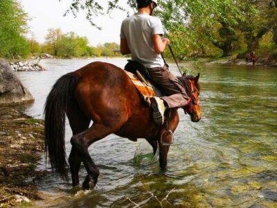 Activity685