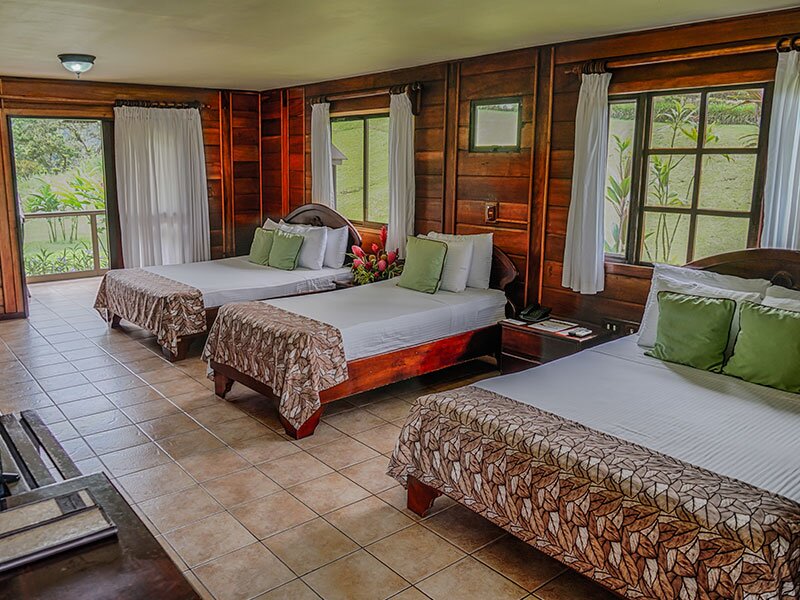 Hotel239