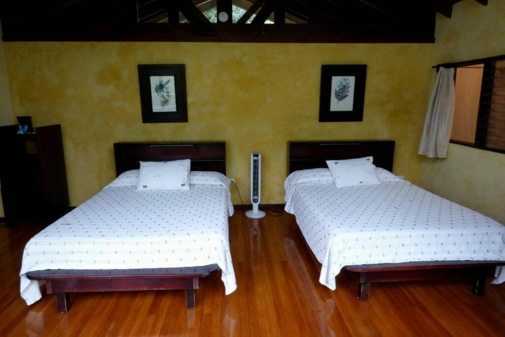 Hotel254