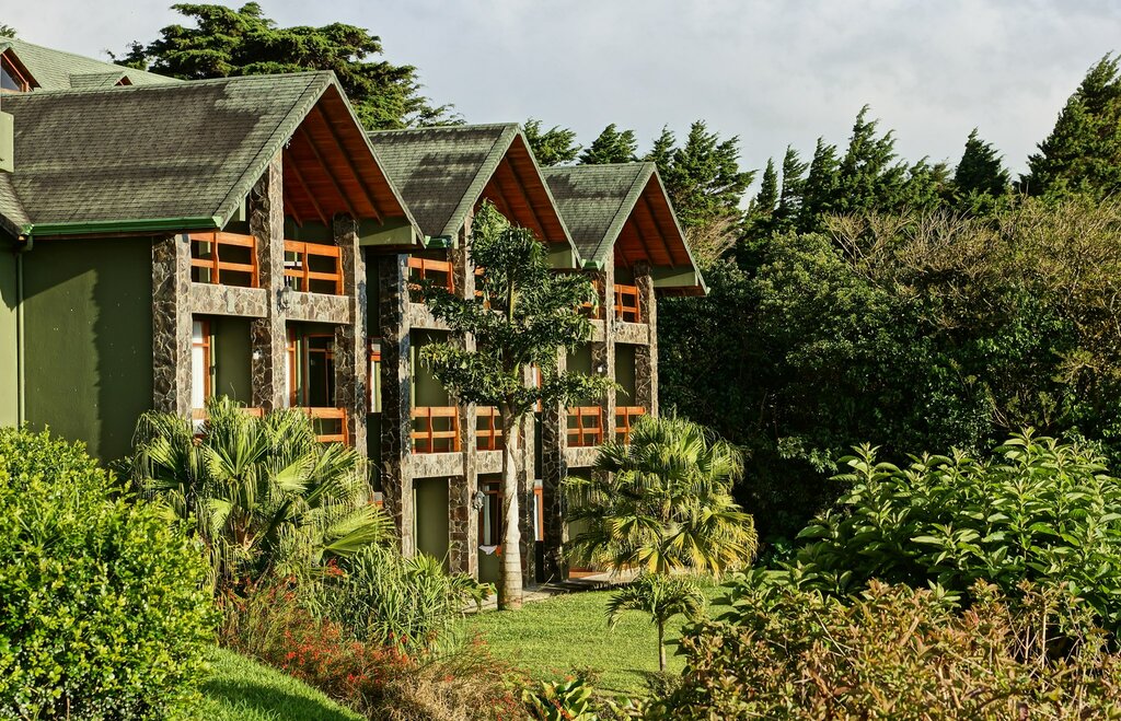 Hotel238