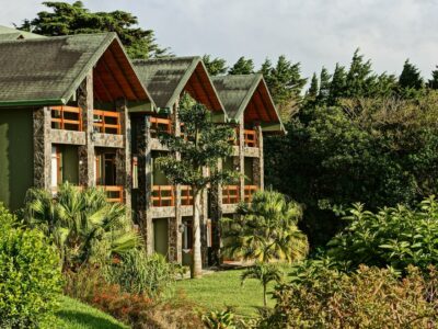 Hotel238