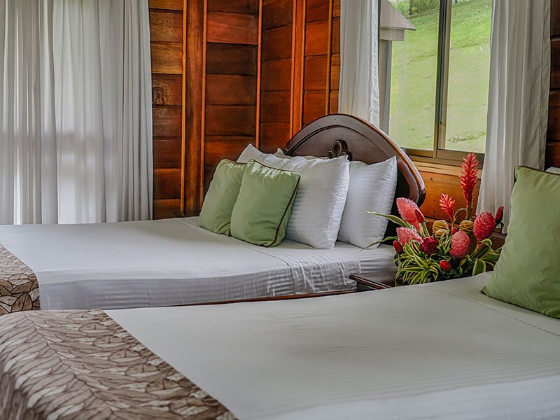 Hotel239