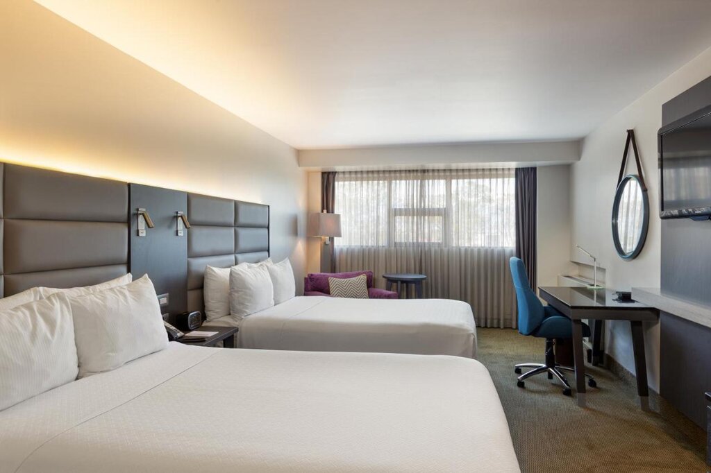 Hotel262