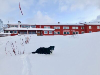 Hotel431