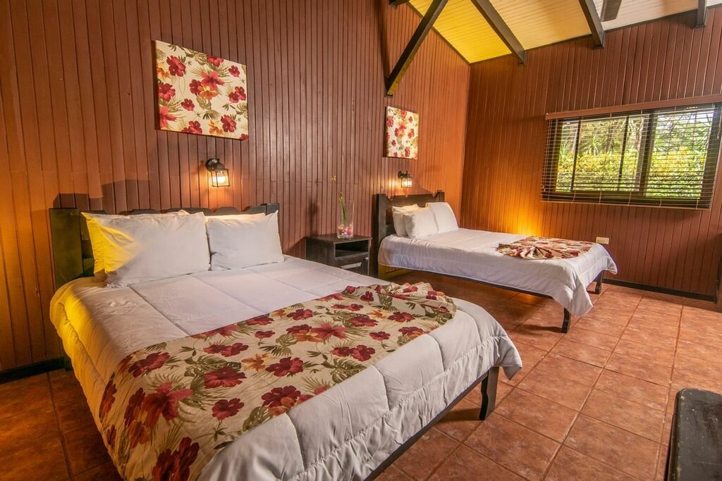 Hotel245