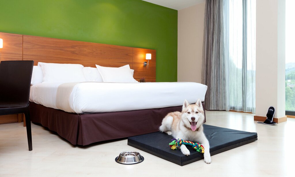 Hotel853