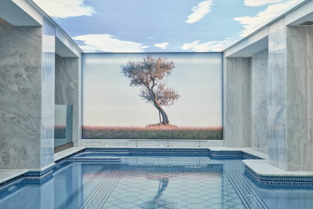 Hotel441