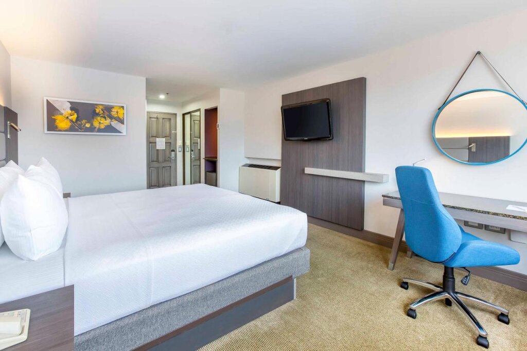 Hotel262