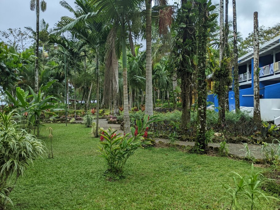 Hotel268