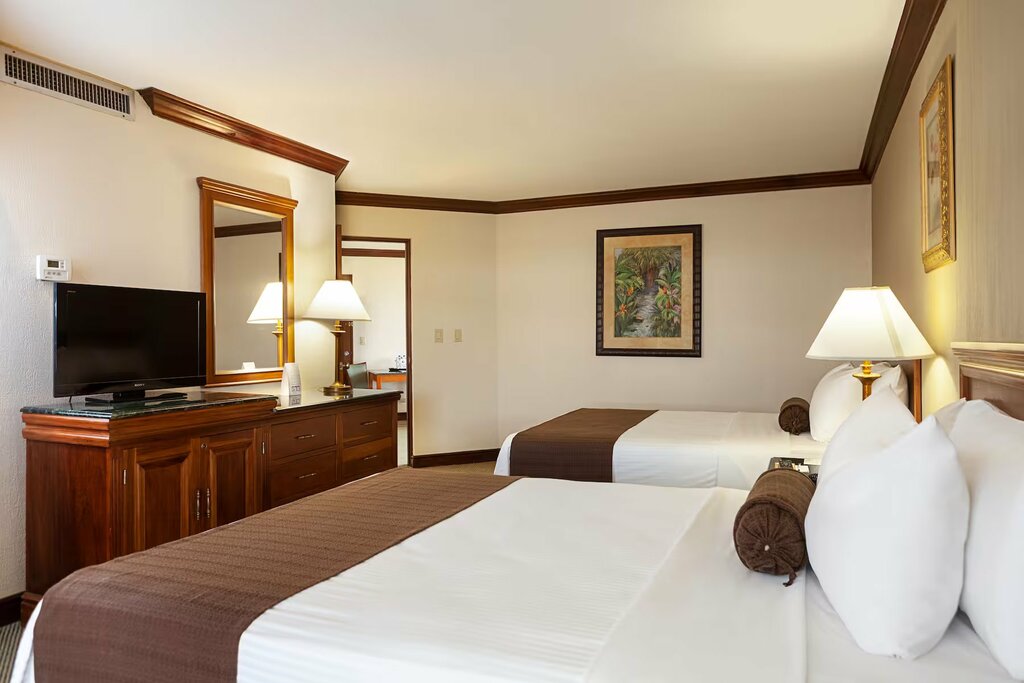 Hotel343