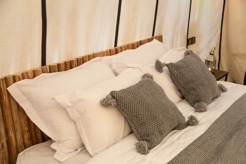 Hotel62