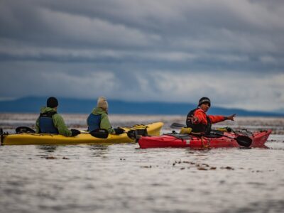 Activity1462