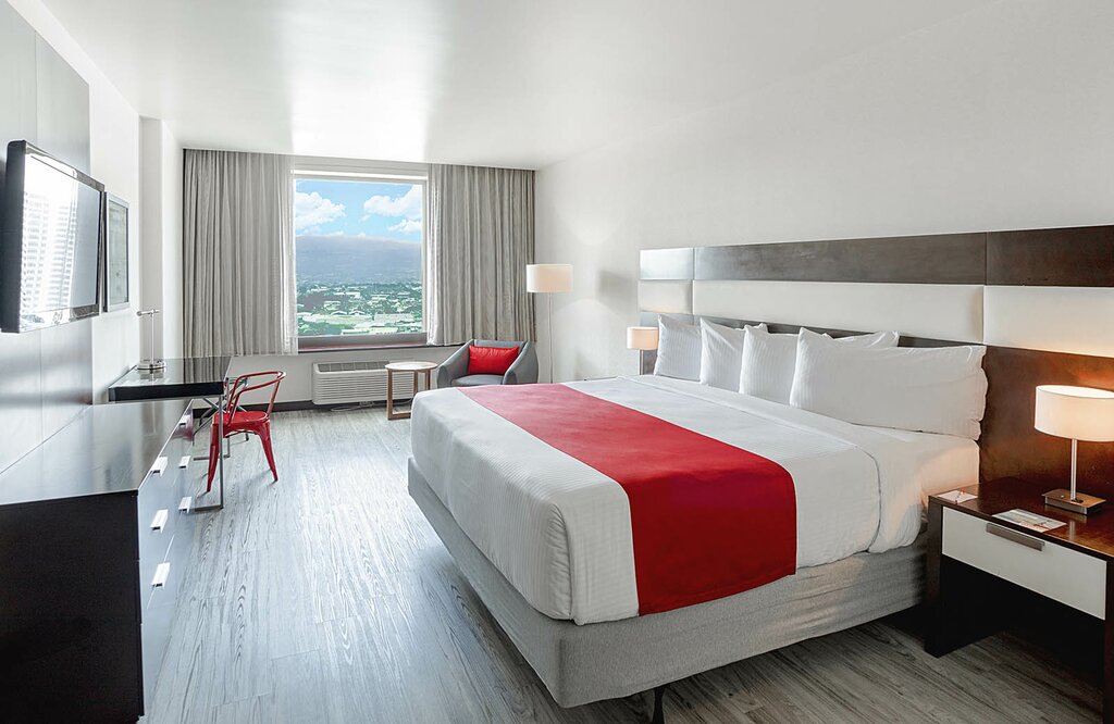 Hotel253