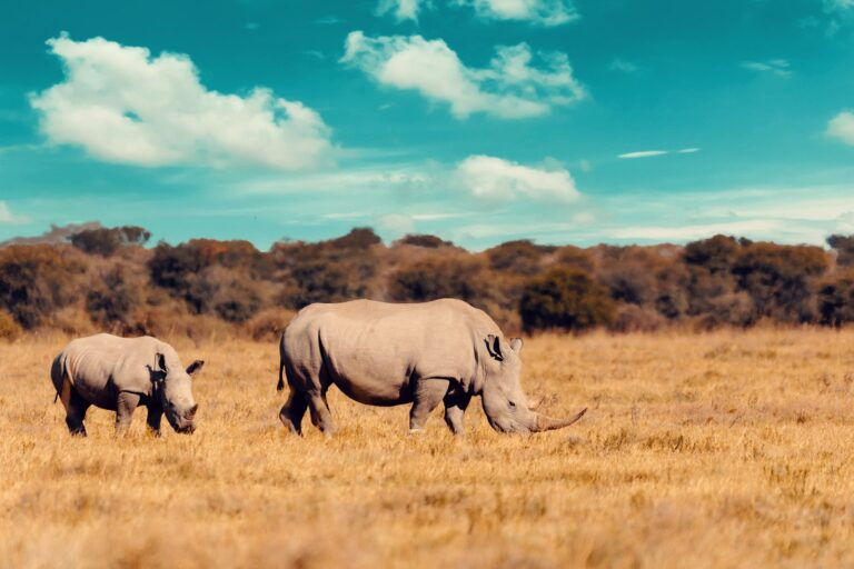 Botswana