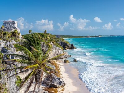 Tulum Ruins And Palm Tree