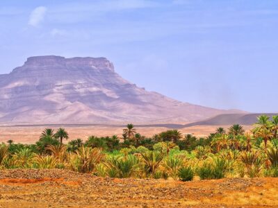 Table mountain and date palms landscape in oasis in Draa Valley Morocco