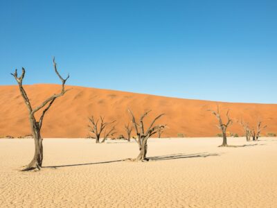 BTH - Namibia